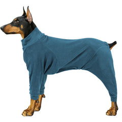 Manteau d'hiver Pinellia pour chien turquoise, vue de face, confort thermique pour promenades.