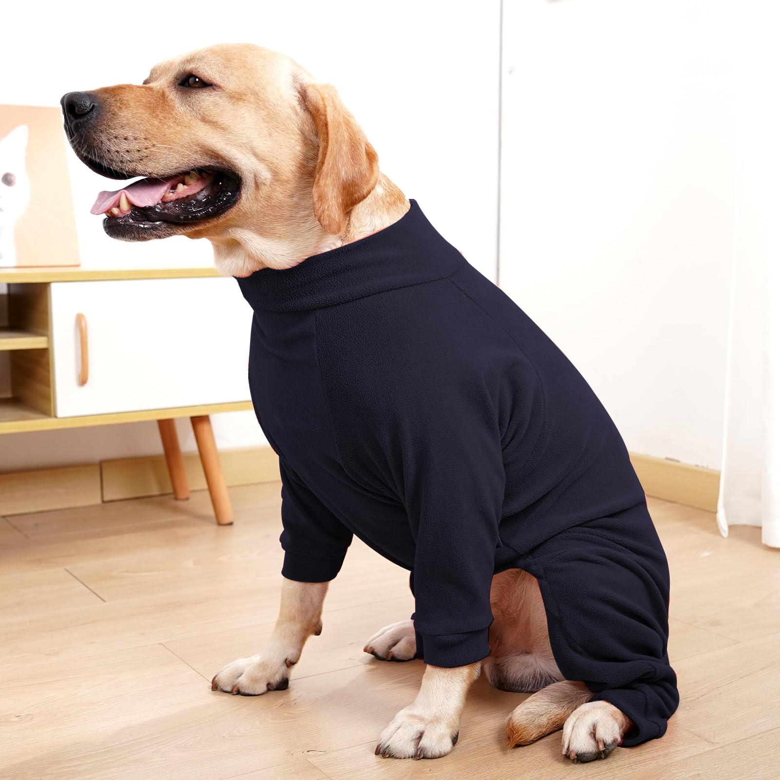 Chien en promenade avec le manteau Pinellia, pratique.