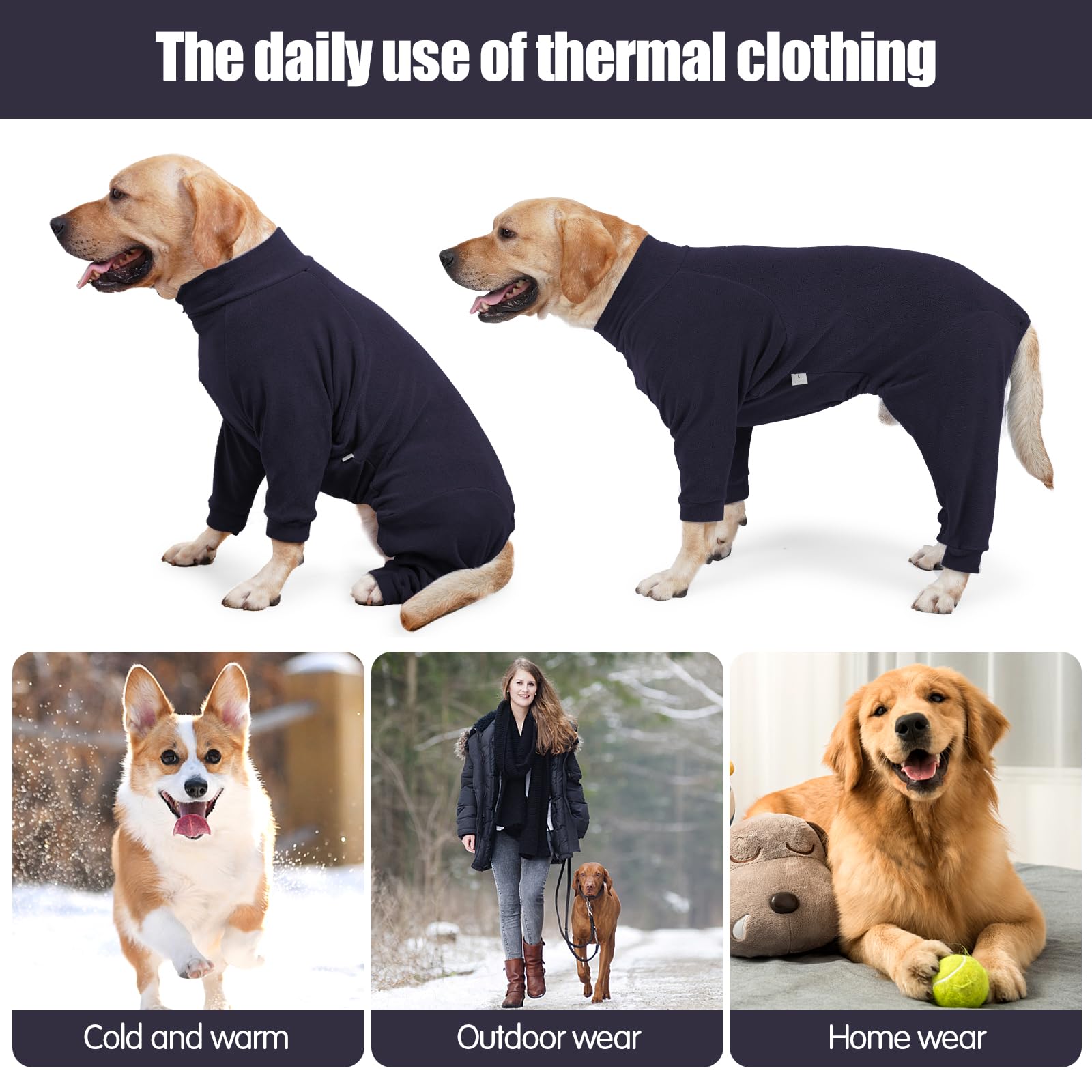 Pinellia manteau polaire chien col roule, protection du cou.