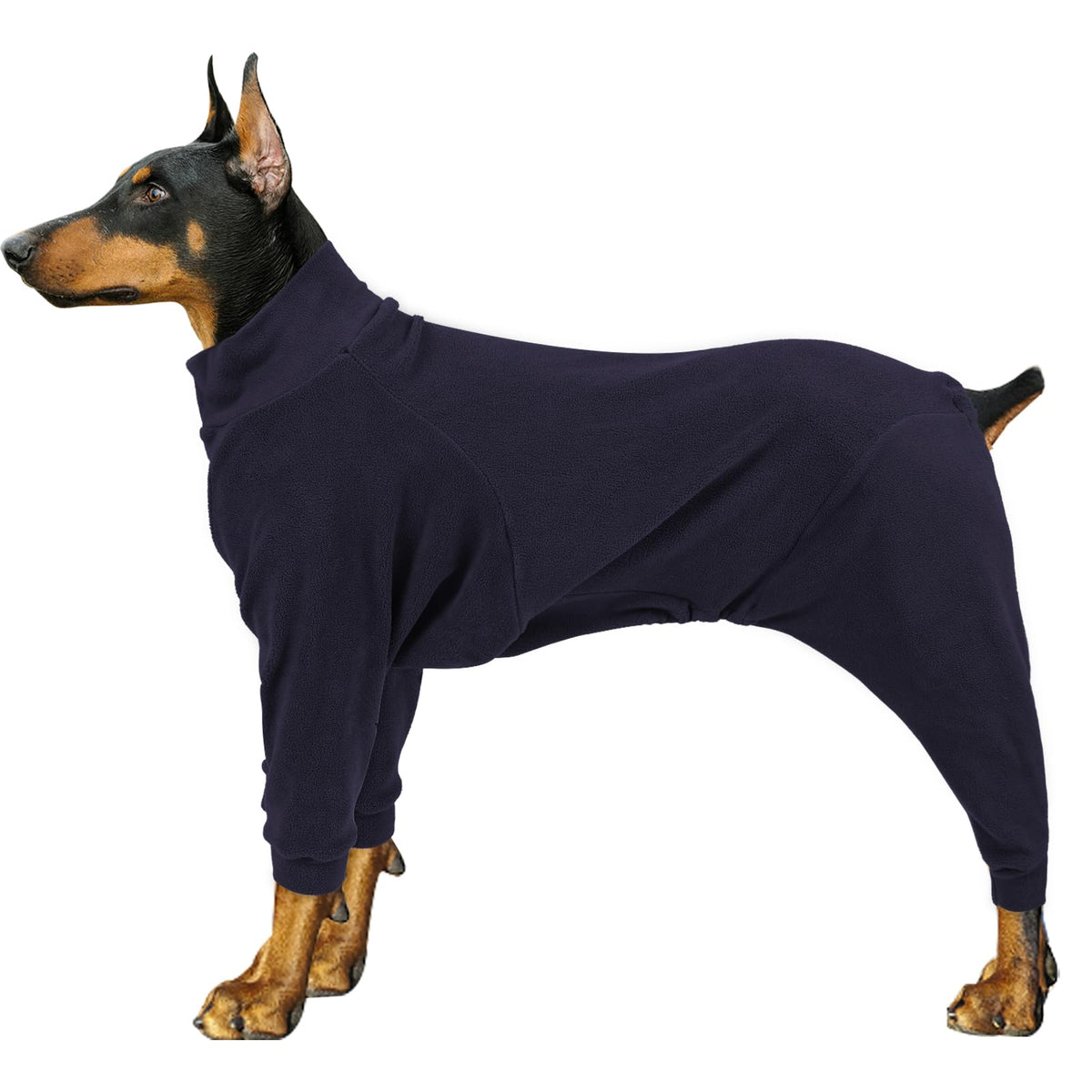 Pinellia manteau polaire chien dos, chaleur confortable.
