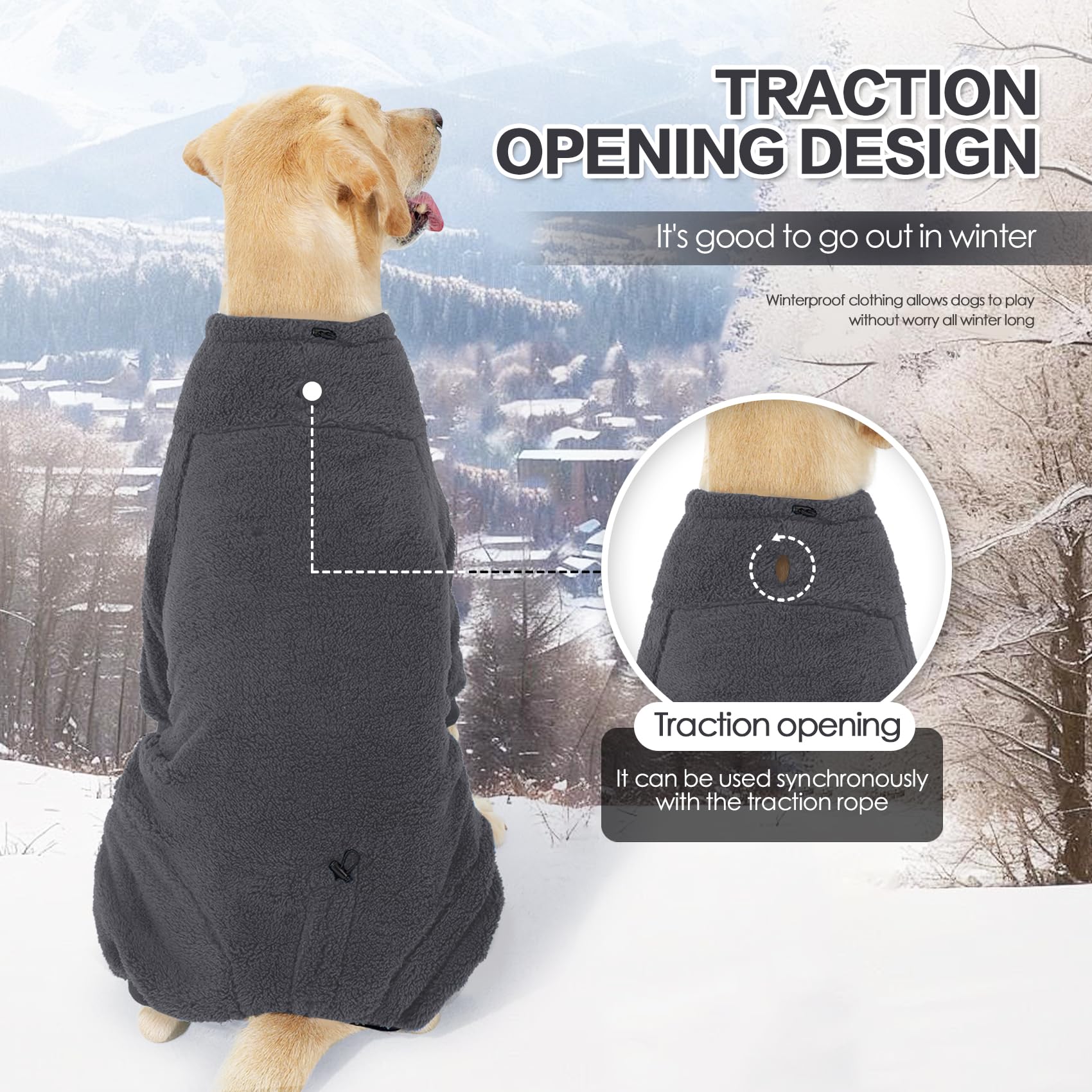 Chien en extérieur avec le manteau Pinellia, protection contre le vent.