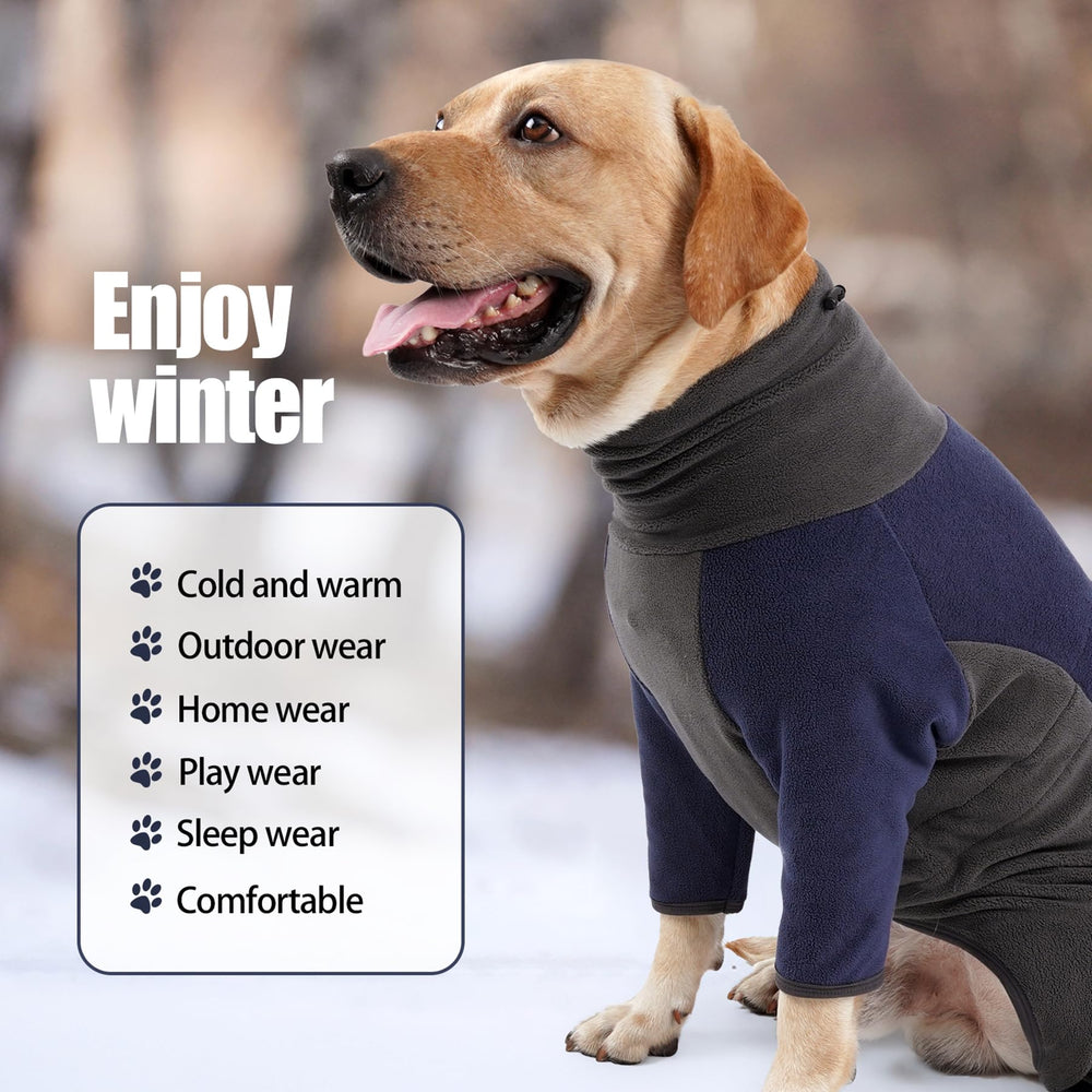 Protection contre le vent avec Pinellia pour chien bleu 2XL, idéal par temps froid.
