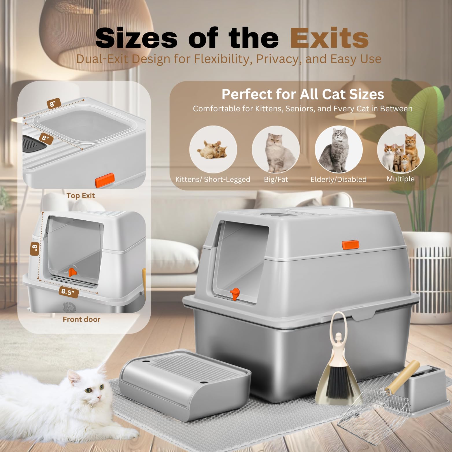 Ensemble accessoires PINENEST inclus pour nettoyage sans effort.