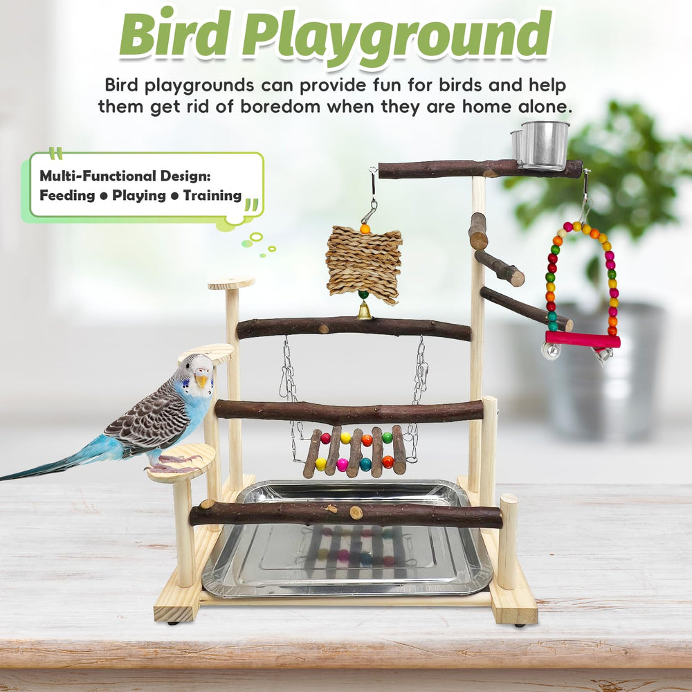 PINVNBY accessoires et jouets pour oiseaux, stimulation quotidienne