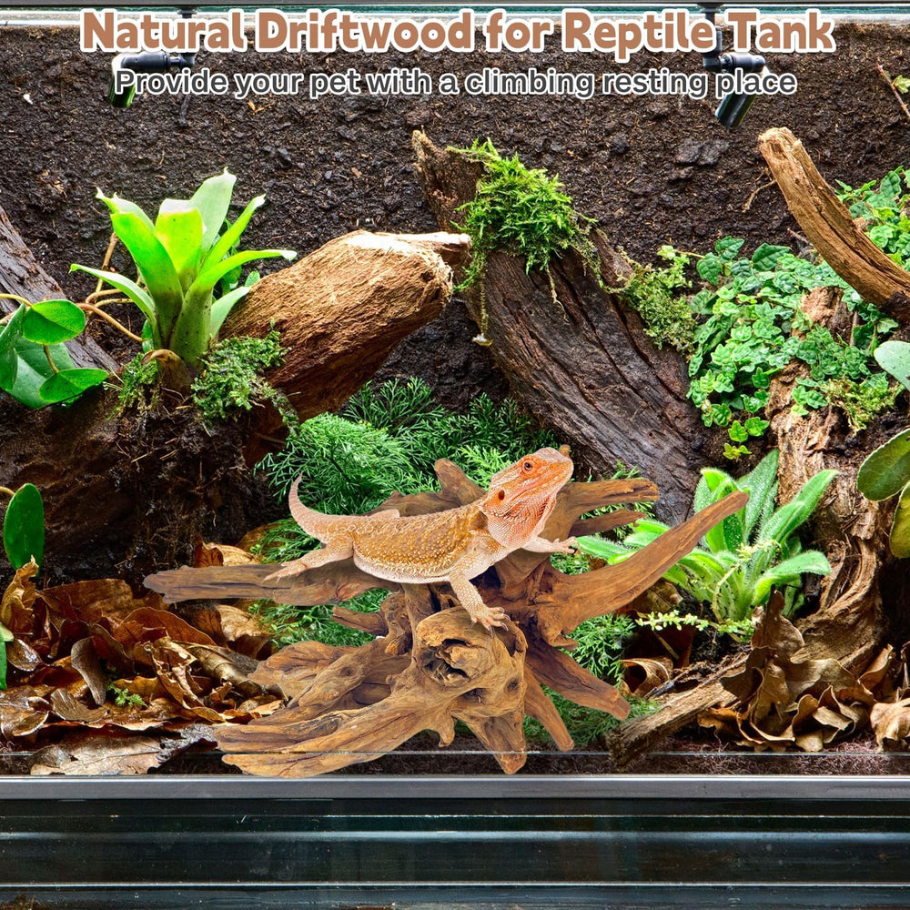 PINVNBY decor bois flotte pour aquascaping effet naturel remarquable.