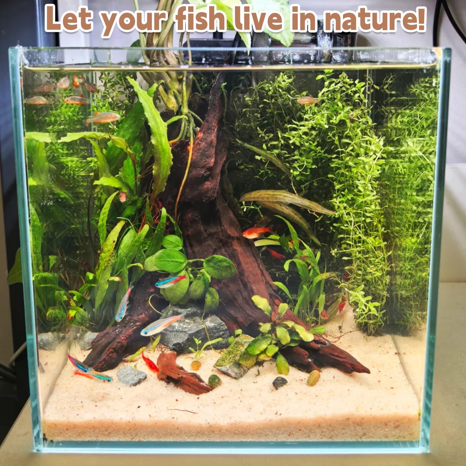PINVNBY decor bois-flotte pour aquariums et habitats aquatiques.