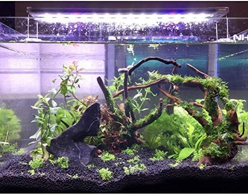 PINVNBY bois flotté pièce unique, pièce centrale impressionnante pour aquarium.