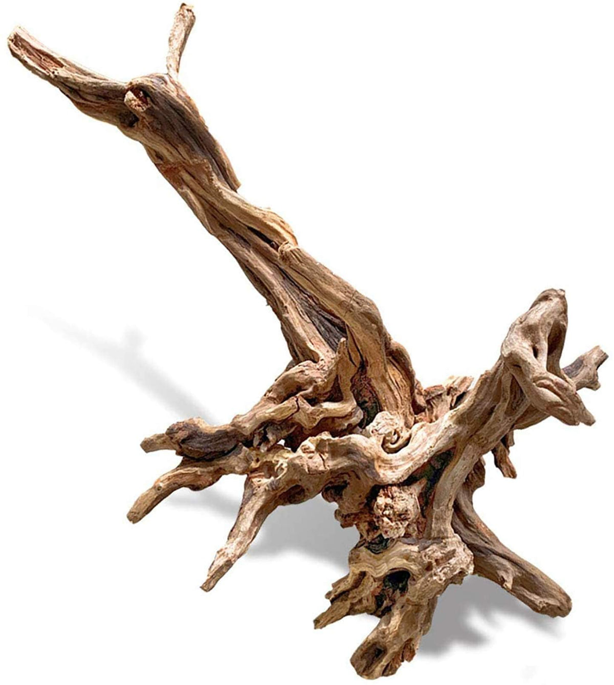 PINVNBY bois flotté ramure 11-18 pouces, décor naturel et refuge pour poissons.
