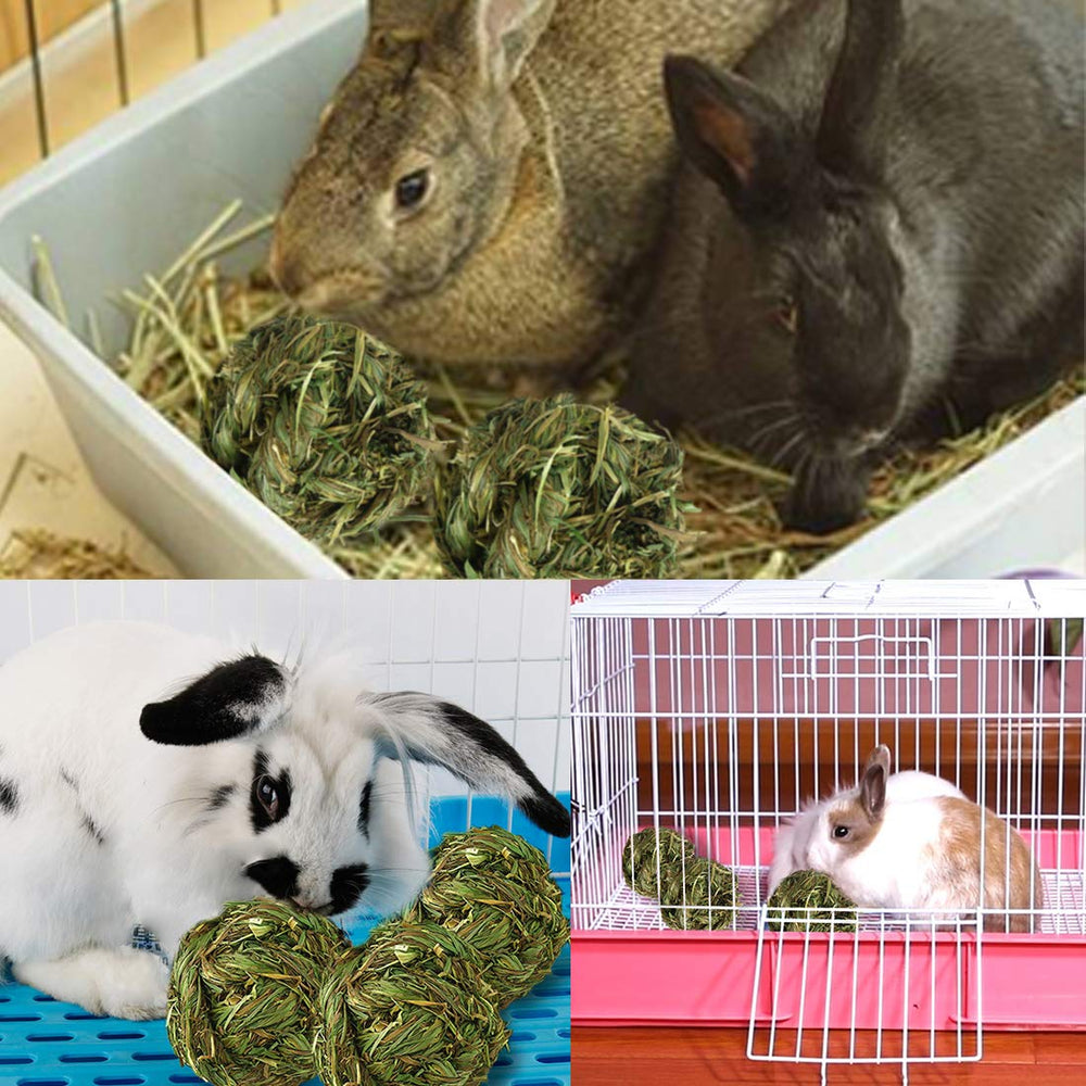 PINVNBY boules-foin-lapin, jouet sûr pour petits animaux et lapins.