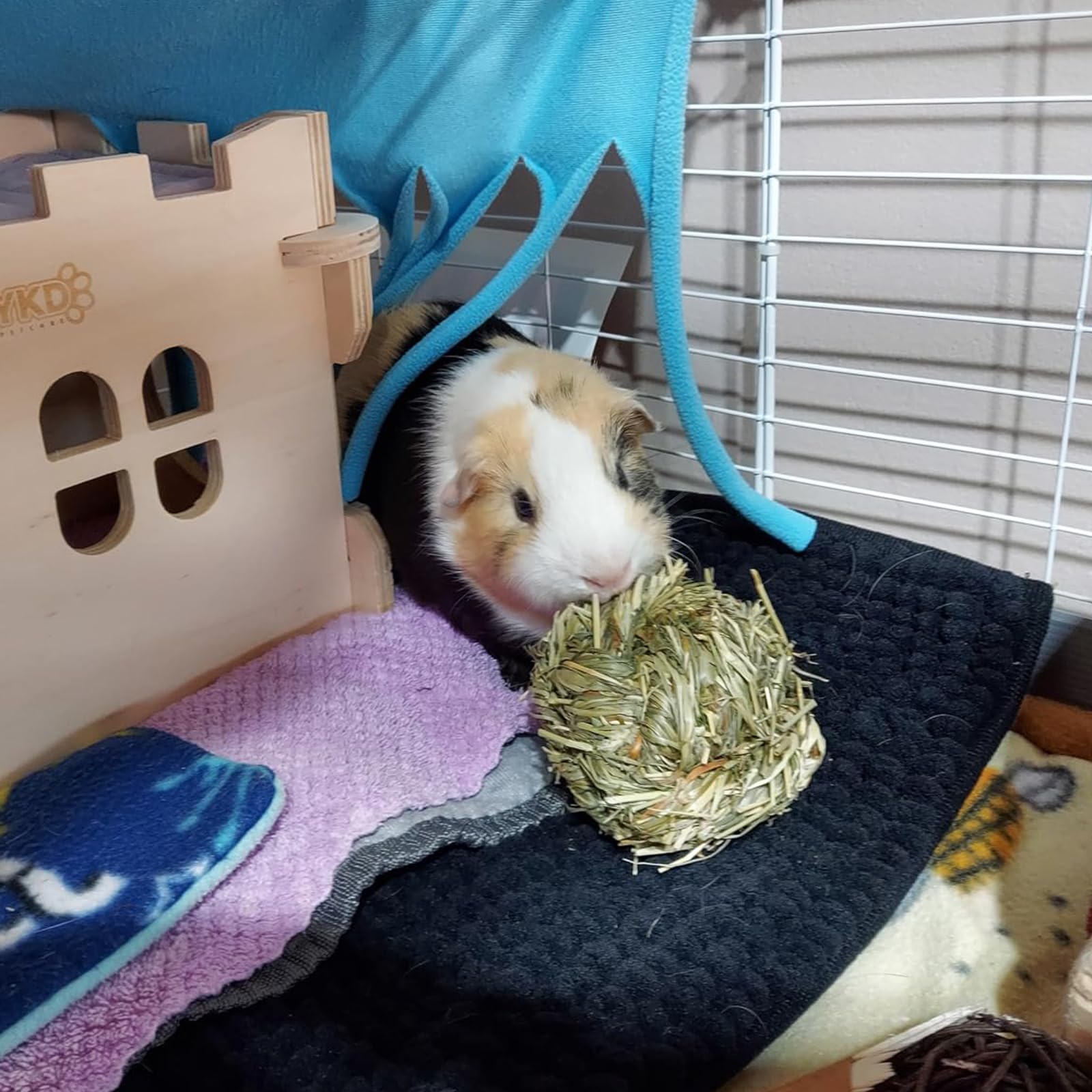 PINVNBY boules-foin-lapin, taille adaptée pour lapins et cobayes.