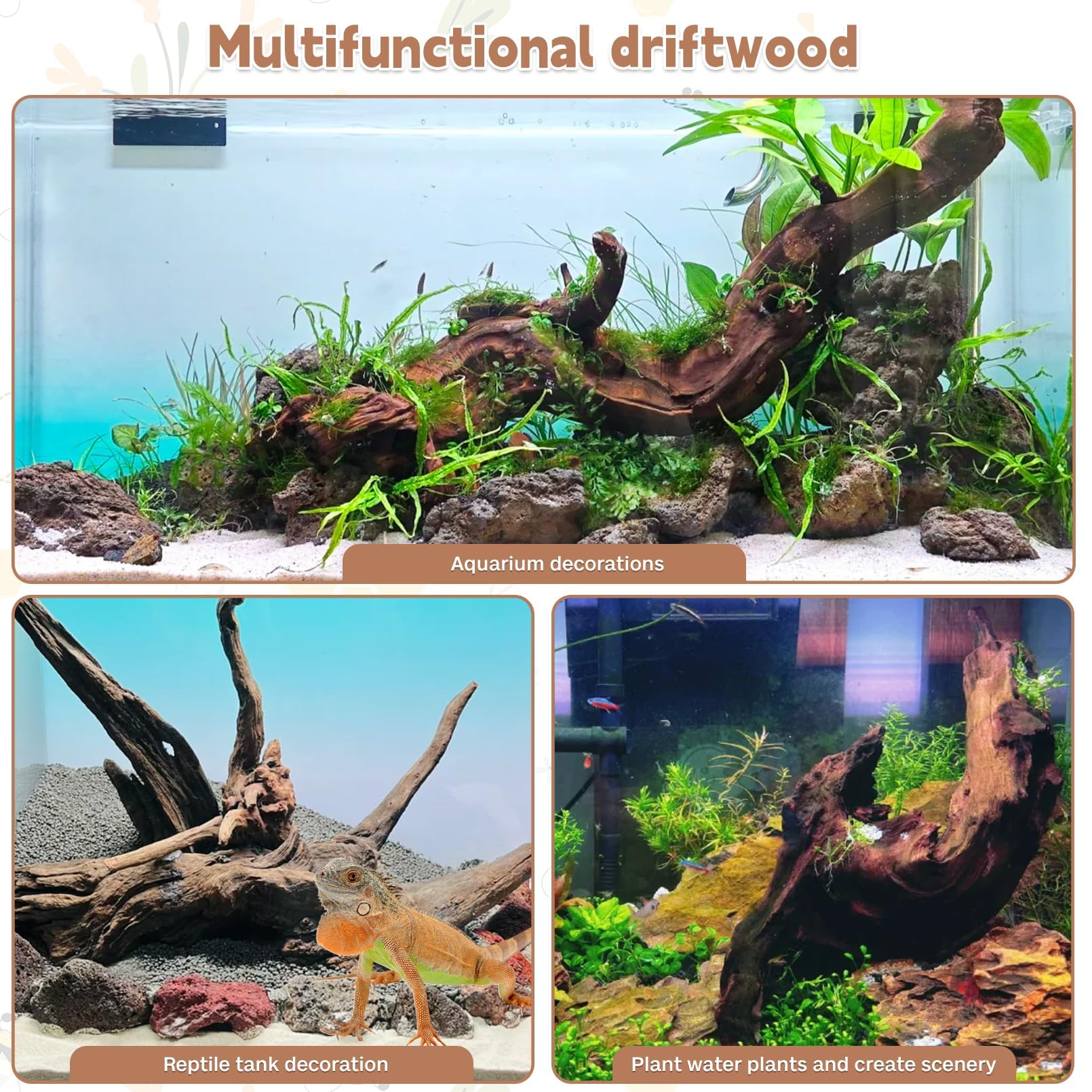 PINVNBY branche bois-flotte pour terrarium et reptile ambiance naturelle.