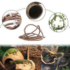 PINVNBY branche-vigne pliante pour escalade variée et support solide