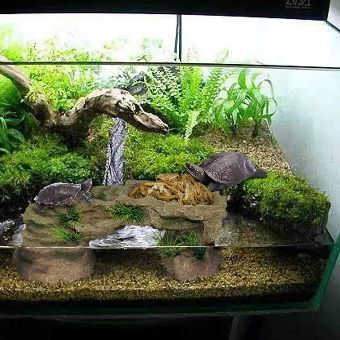 PINVNBY compatible eau douce et eau salée pour aquarium ou terrarium.