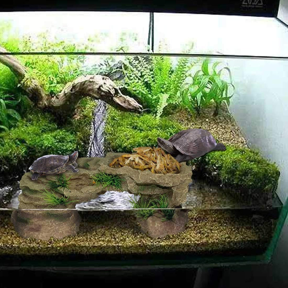 PINVNBY compatible eau douce et eau salée pour aquarium ou terrarium.