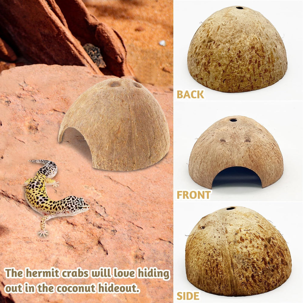 PINVNBY déco naturelle, refuge attrayant pour terrariums et aquariums.