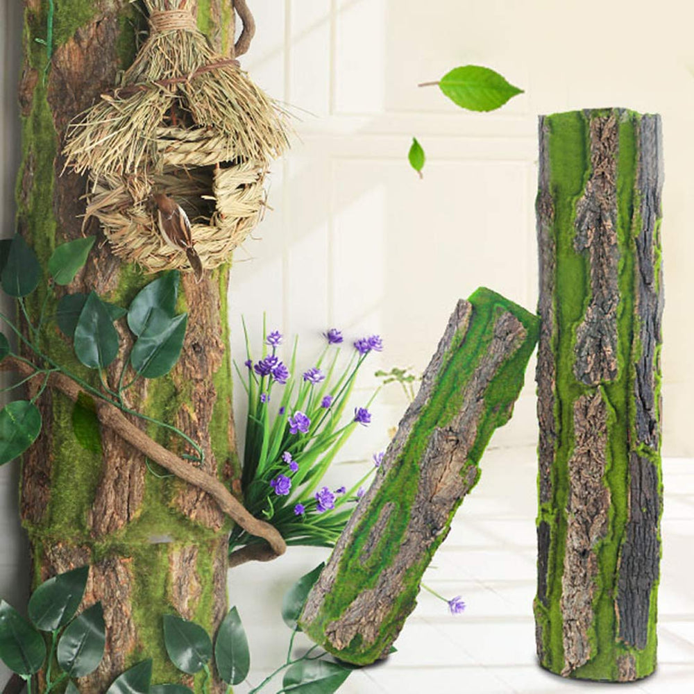 PINVNBY decor-terarium-interieur : transforme l’espace de vie de l’animal et du salon.