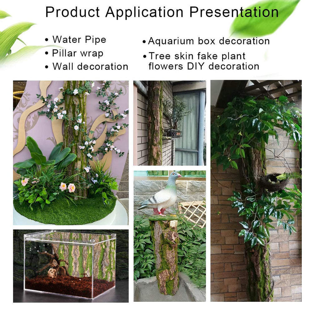 PINVNBY decor-terarium-naturel : cadre décoratif polyvalent pour reptiles et intérieur.
