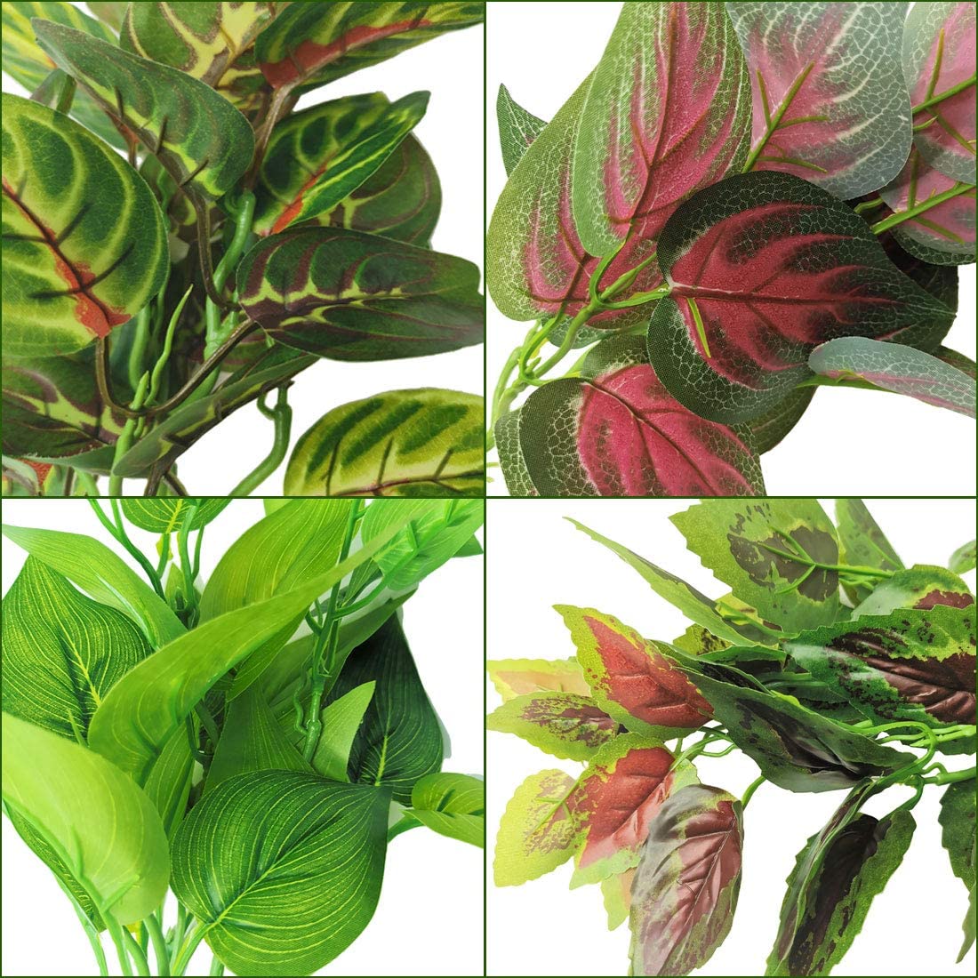 PINVNBY Déco d'habitat reptile naturelle favorisant cachettes.