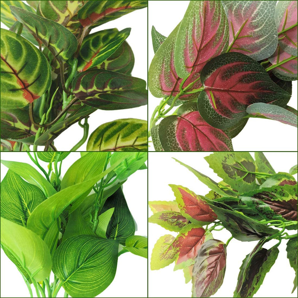 PINVNBY Déco d'habitat reptile naturelle favorisant cachettes.