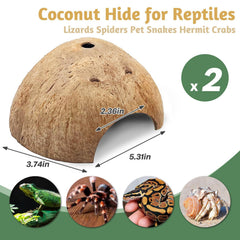 PINVNBY design à deux entrées, refuge et tunnel pour reptiles et crustacés.