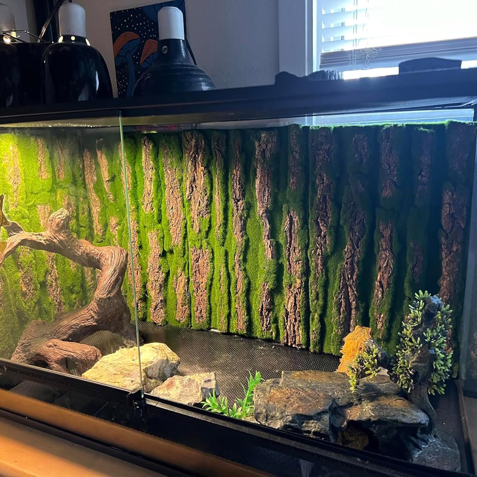 PINVNBY surface durable et réutilisable pour terrarium en liège
