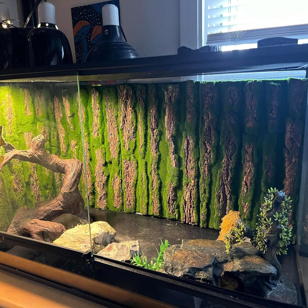 PINVNBY surface durable et réutilisable pour terrarium en liège