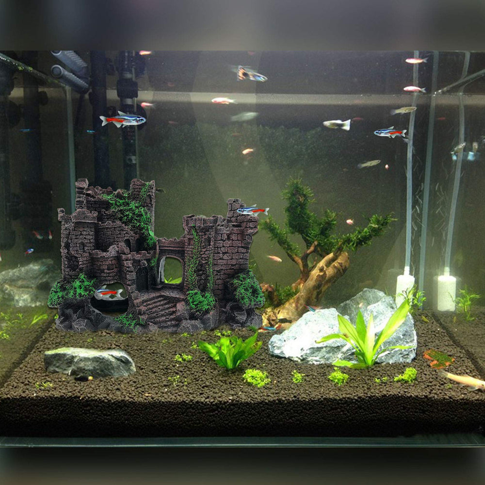 PINVNBY-ensemble-accessoires-reptile, kit tout-en-un pour enrichir l'habitat.
