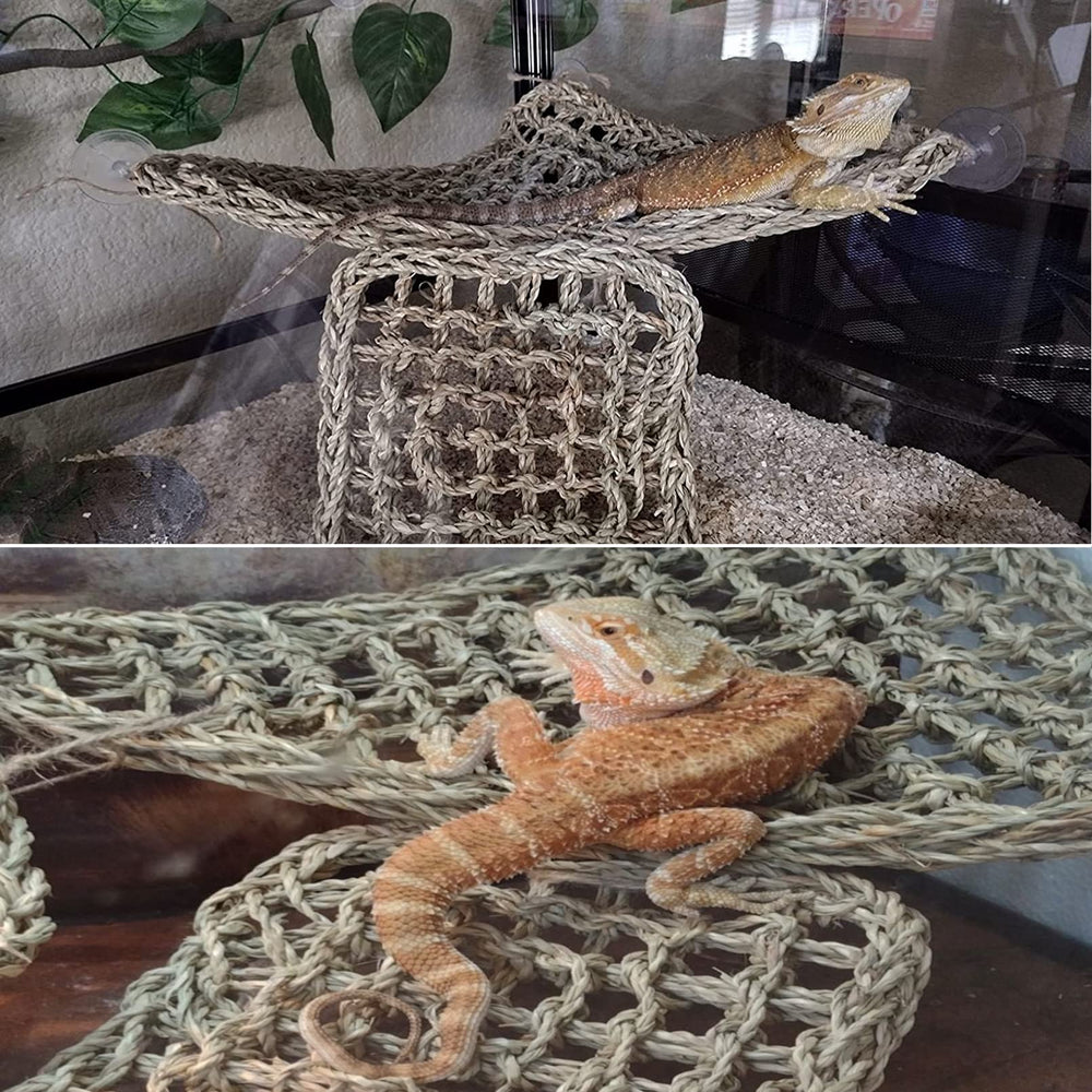PINVNBY hamac rectangle lézard, espace de grimpe et repos