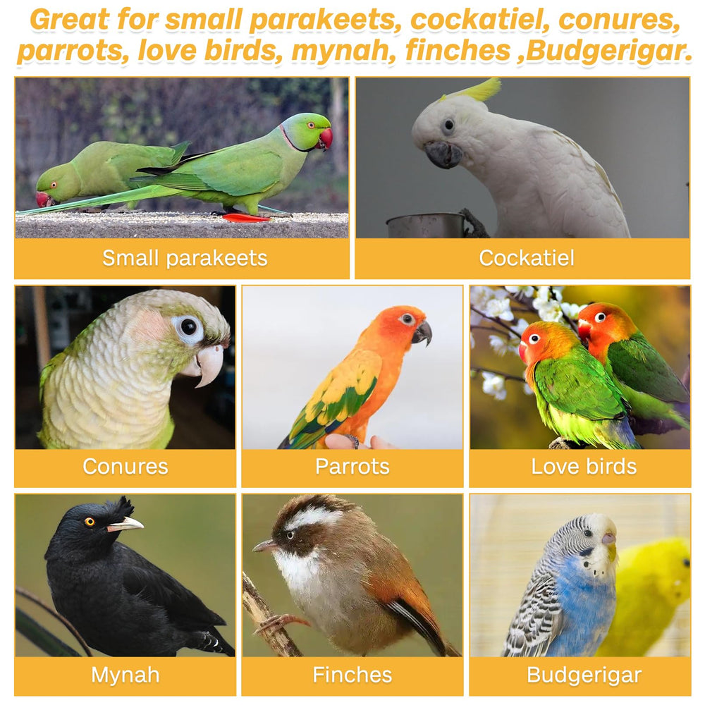 PINVNBY jouet déco cage coloré, enrichissement quotidien pour l'oiseau.