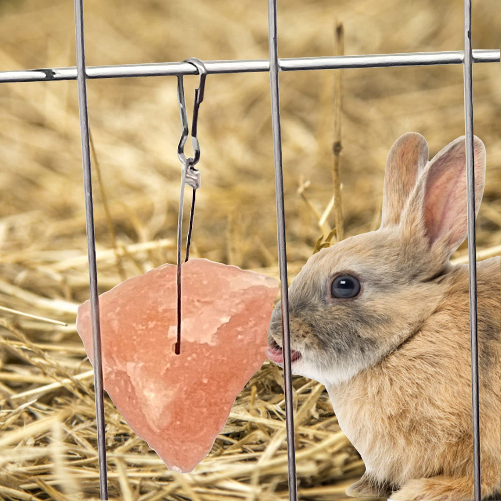 PINVNBY utilisation-hydratation: encourage l'ingestion de liquides chez l'animal.