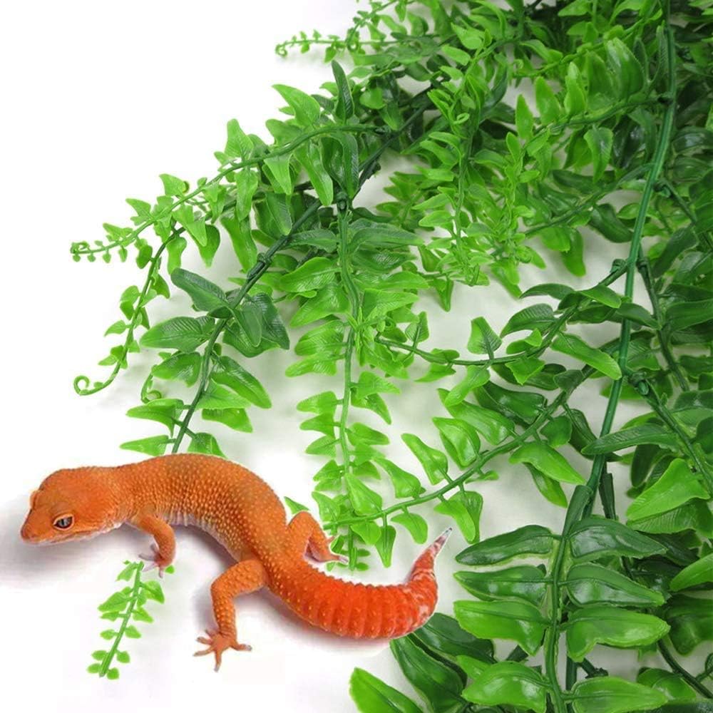 PINVNBY Lianes tropicales adaptées à géckos et dragons barbus.