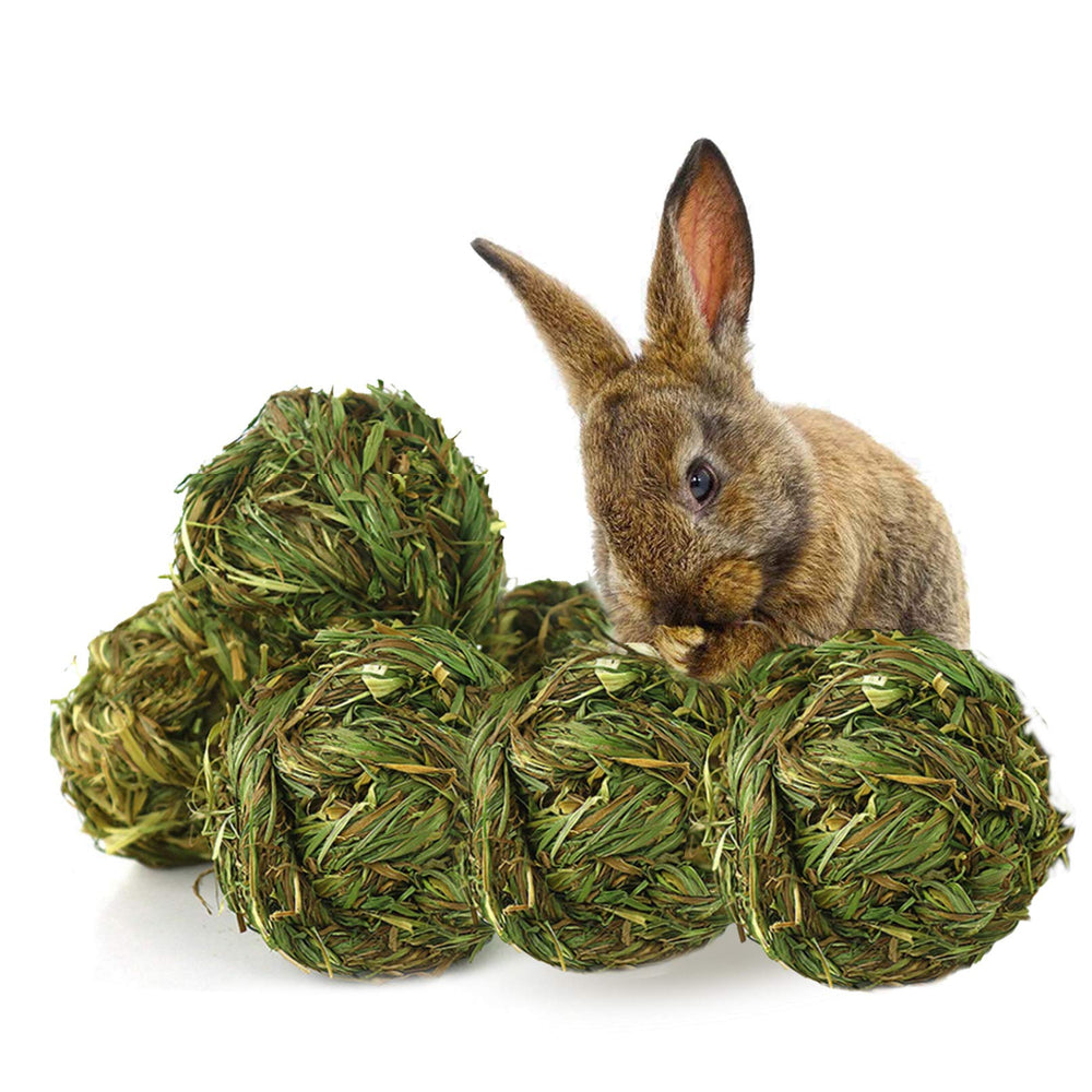 PINVNBY lot de 6 boules de foin timothy, stimulant dentaire naturel.