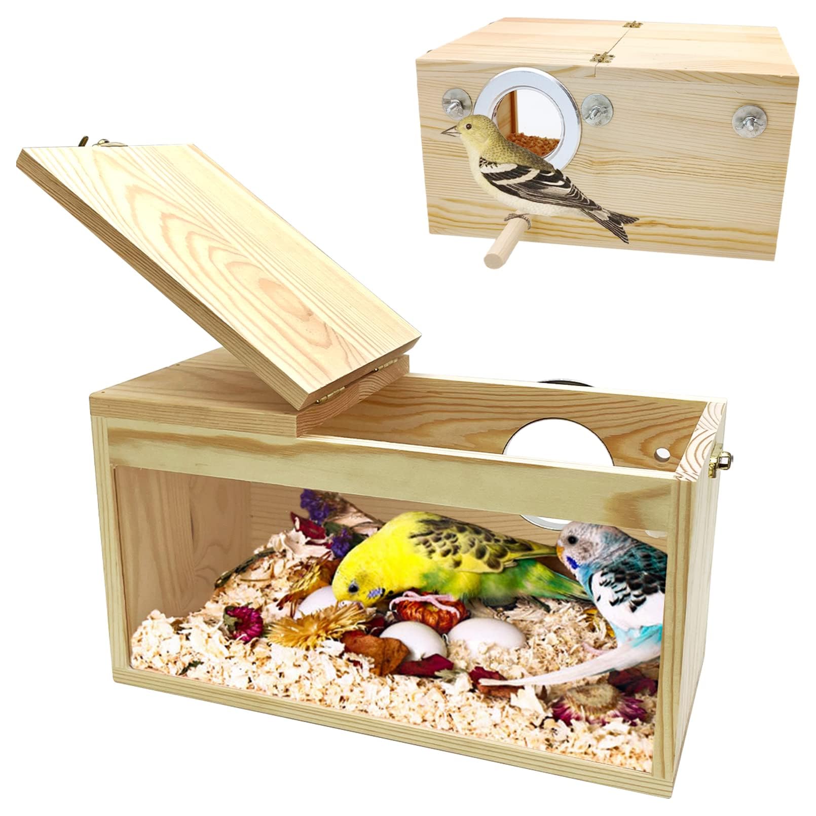 PINVNBY nid naturel en bois pour perruche, vue transparente pour observer sans déranger.