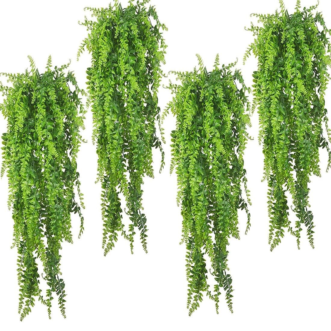 PINVNBY Plantes suspendues décorant terrarium Boston avec ventouses robustes.