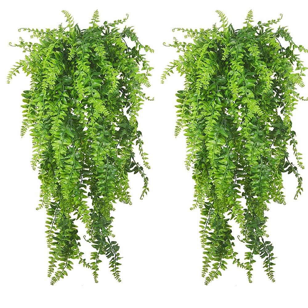 PINVNBY Plantes pour terrarium suspendues Boston, décor naturel et installation facile.