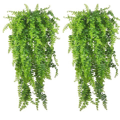 PINVNBY Plantes pour terrarium suspendues Boston, décor naturel et installation facile.