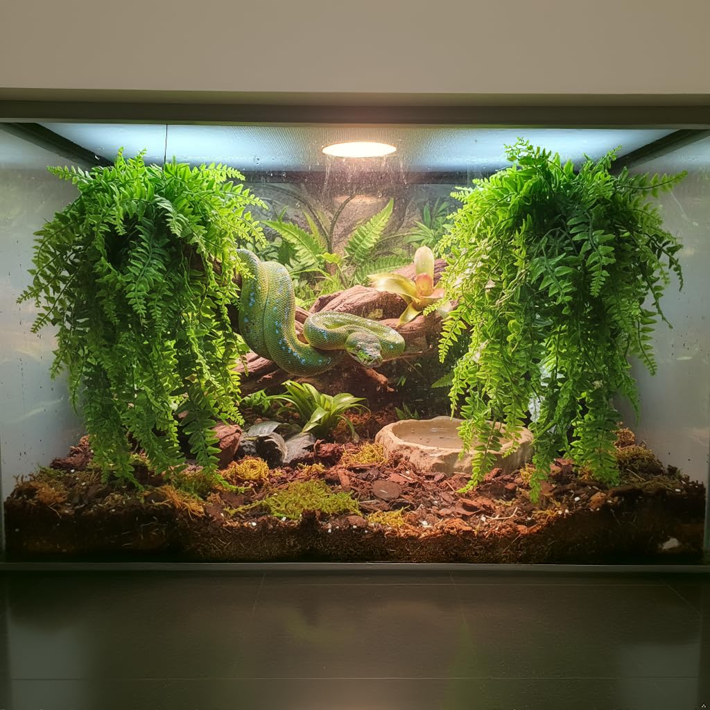 PINVNBY Plante reptile liane suspendue pour lézard à crête, abri et ambiance nature.