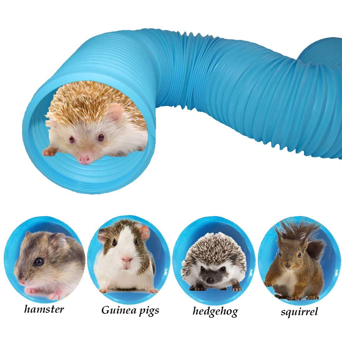 Tunnel en plastique PINVNBY bleu, usage quotidien pour rongeurs et compagnons.