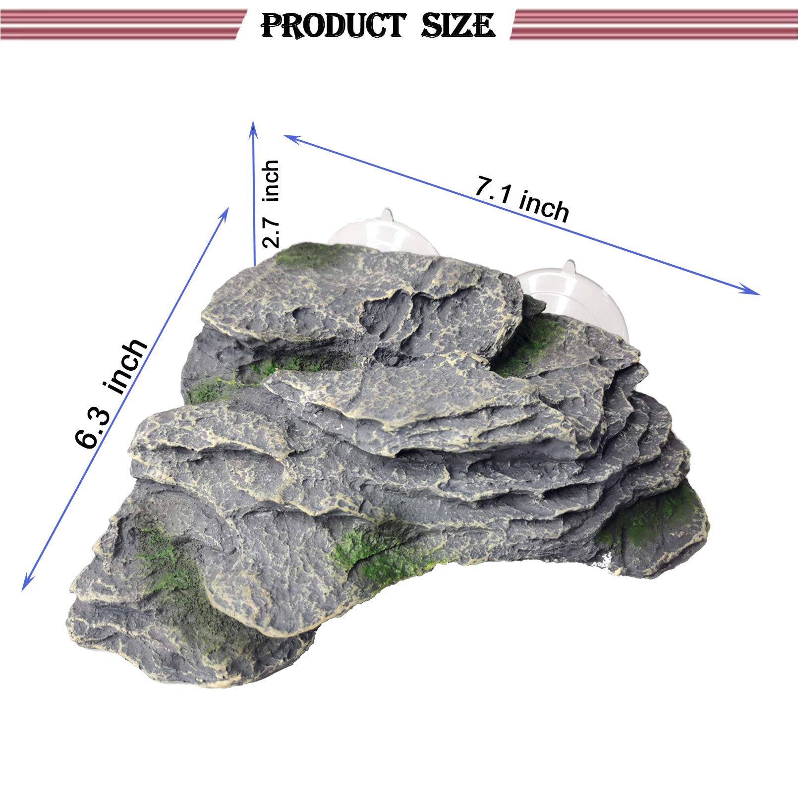 PINVNBY plateforme-tortue trapezoidale: facilite l'escalade et l'exercice