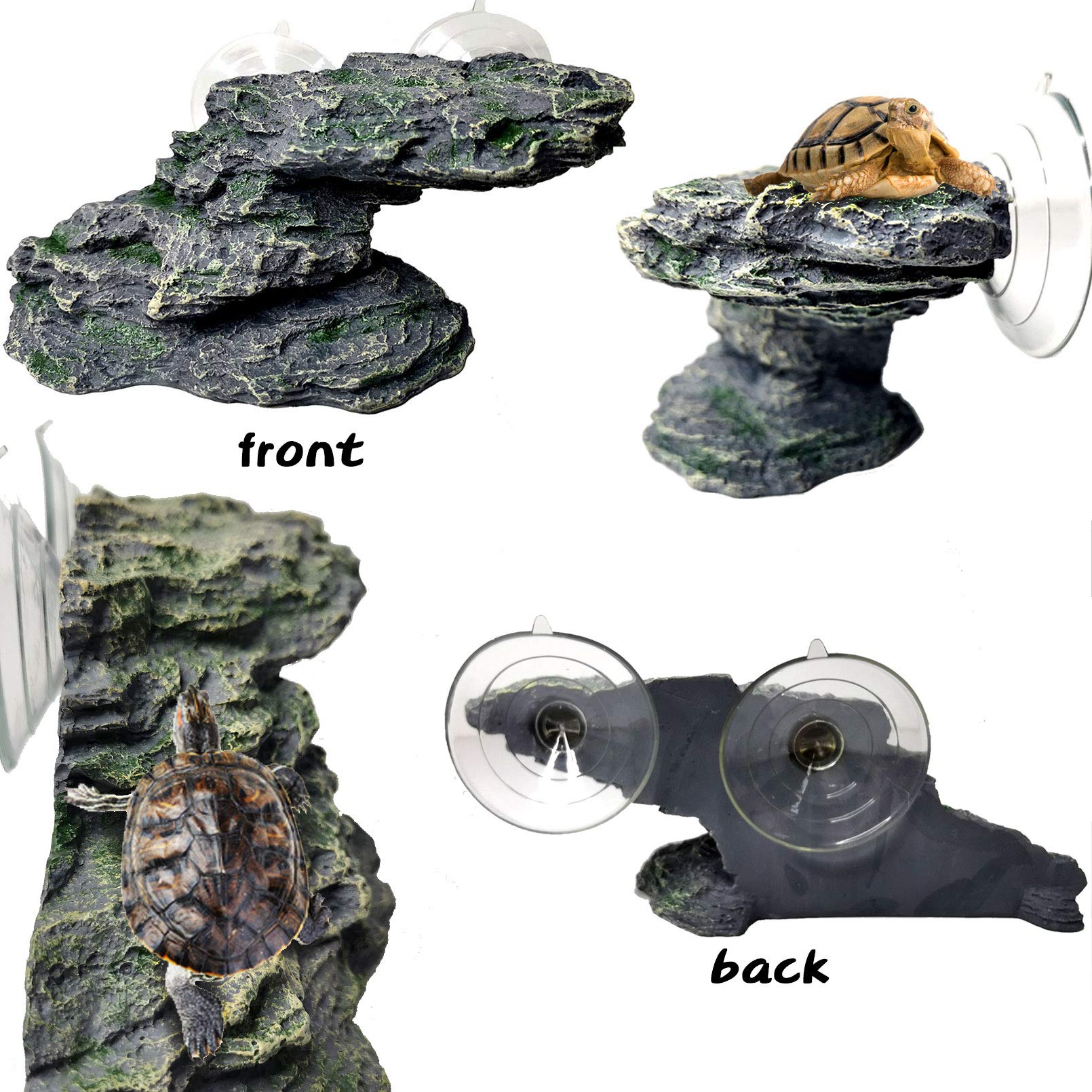 PINVNBY plateforme-tortue-moyenne pratique dans aquariums et terrariums.