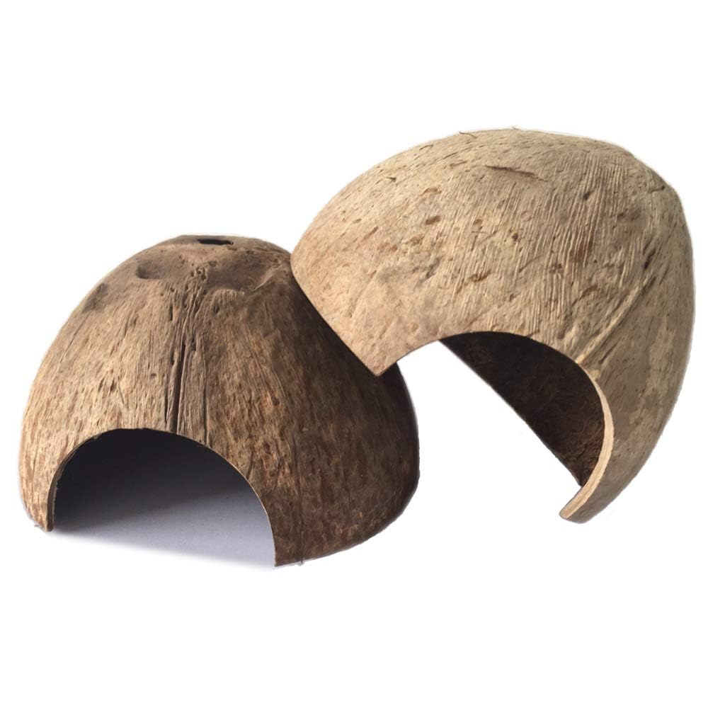 PINVNBY refuge réptile en noix de coco naturelle, duo pratique offrant espace et camouflage naturel.
