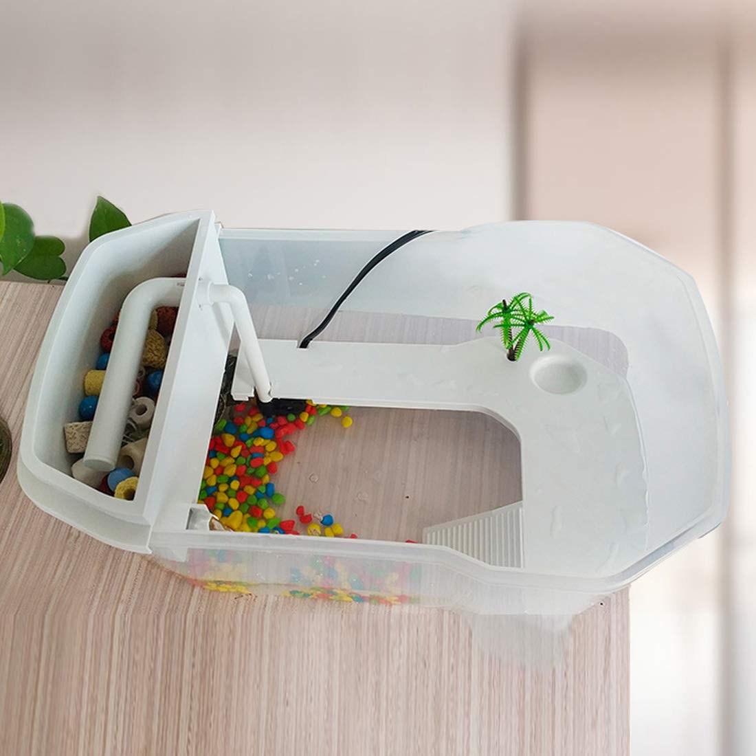 PINVNBY tortue accessoires emballage et éléments inclus