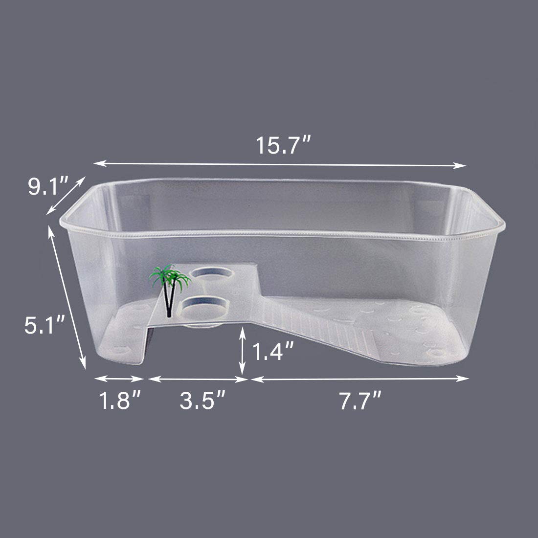 PINVNBY tortue plantes plastiques décoratif et stimulant visuellement