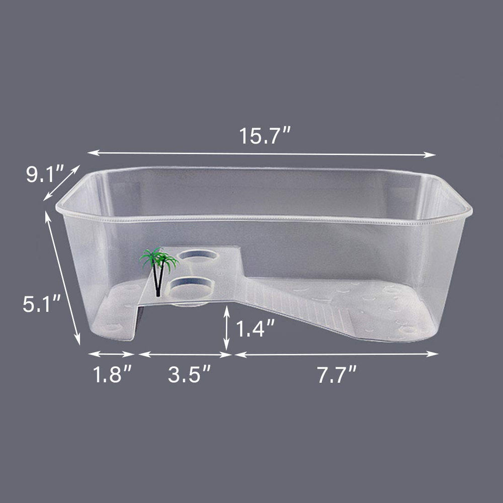 PINVNBY tortue plantes plastiques décoratif et stimulant visuellement