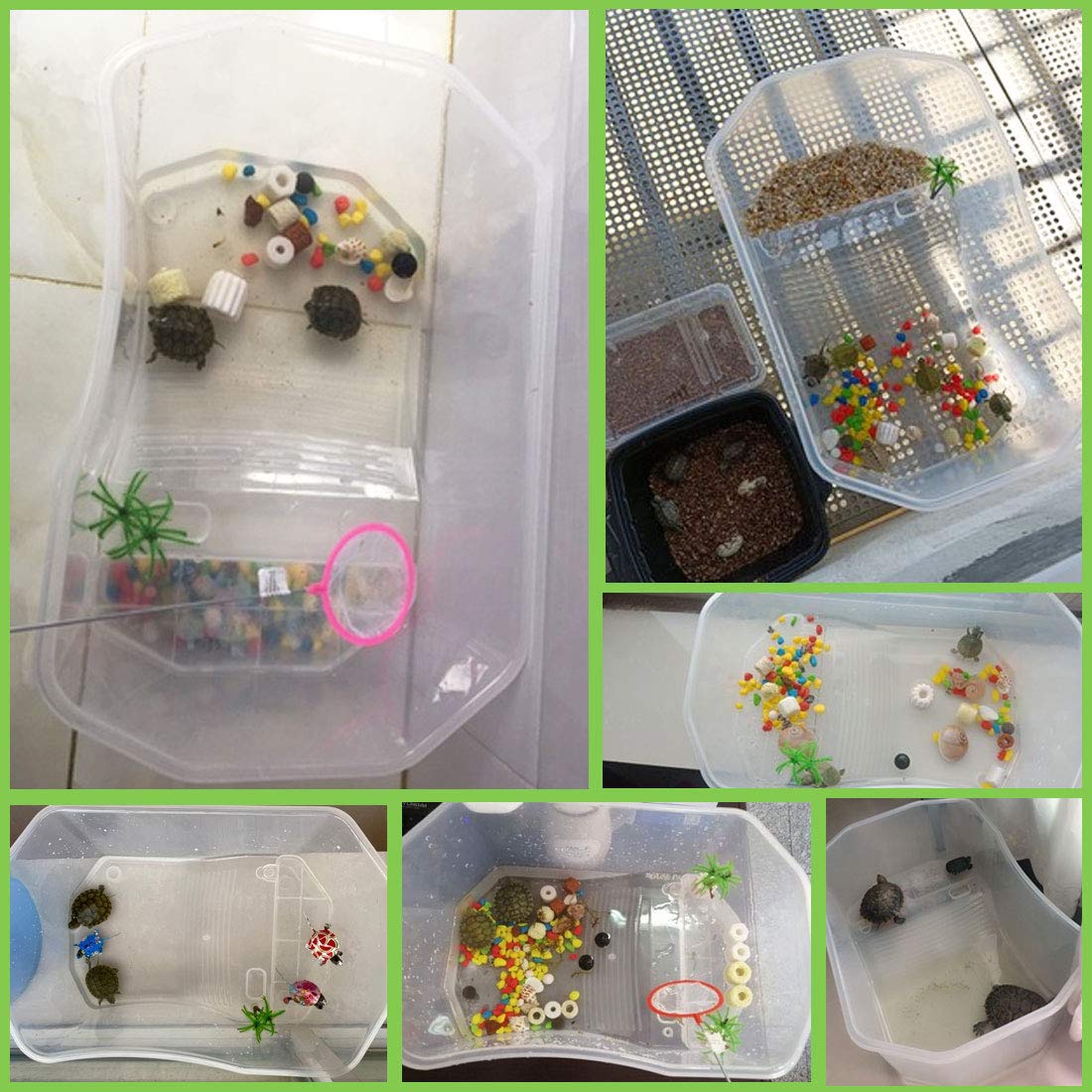 PINVNBY tortue zone repos soleil, espace sûr pour basking