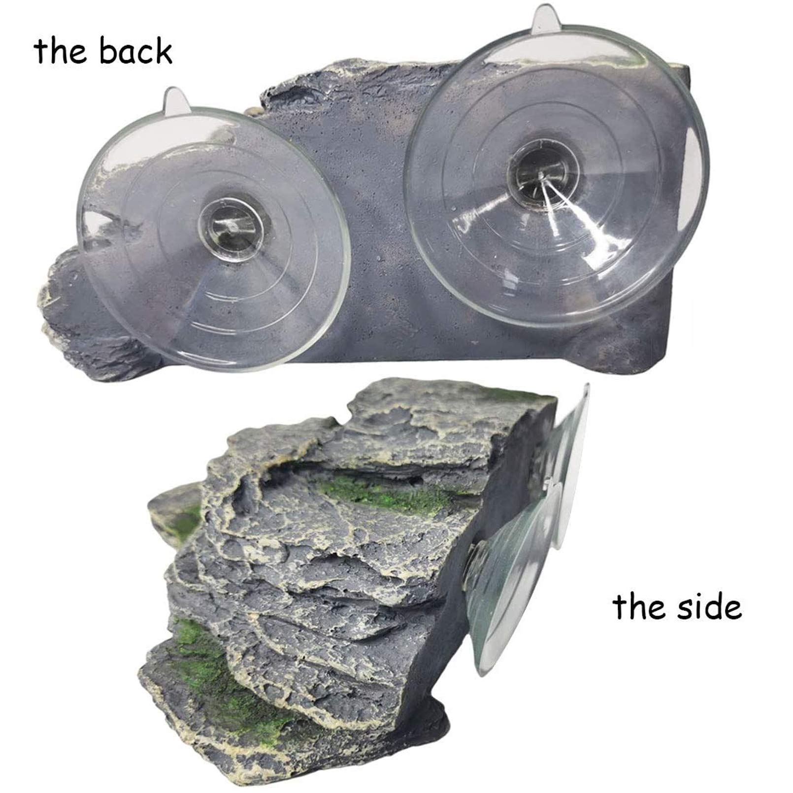 PINVNBY ventouses-accessoires: installation facile sur l'aquarium