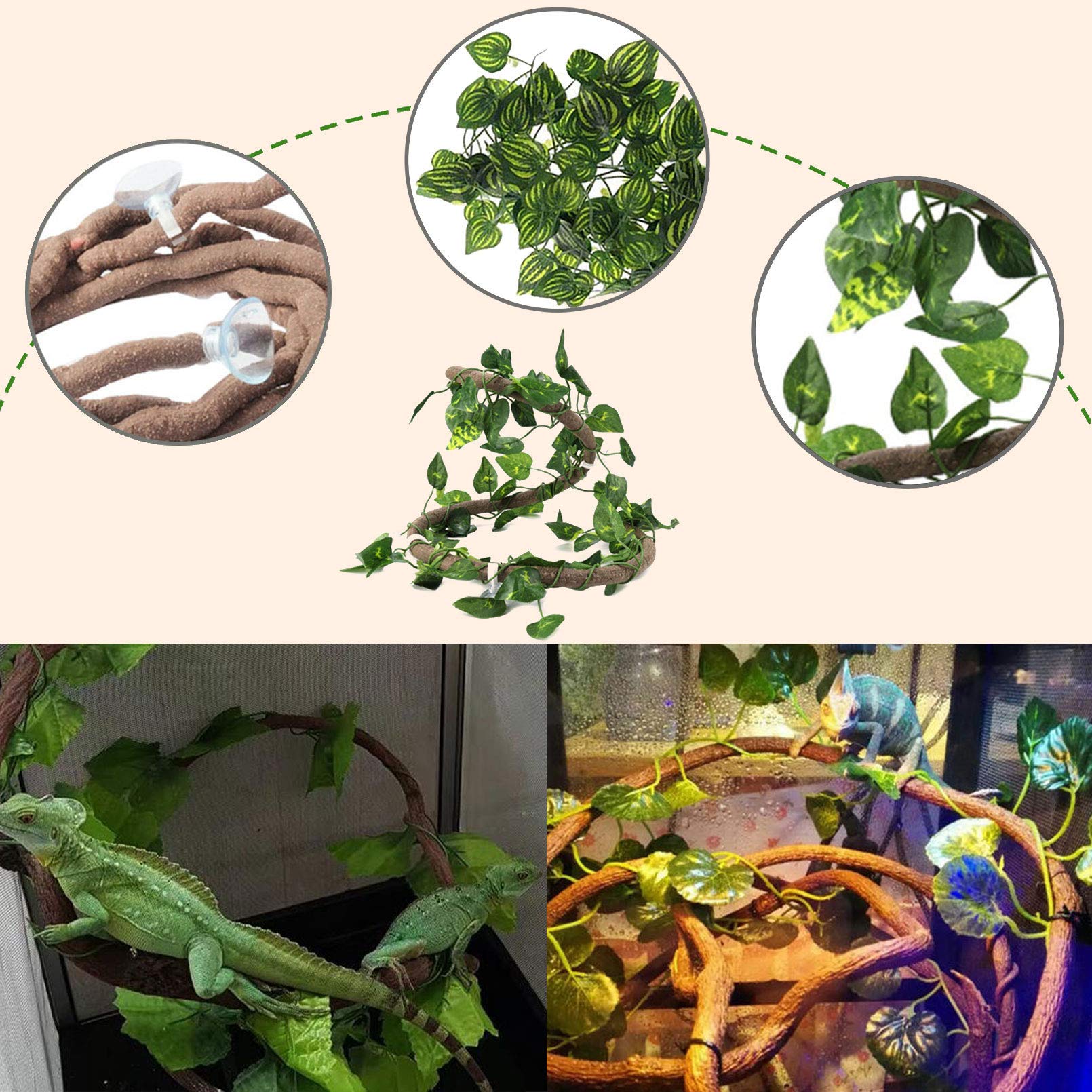 PINVNBY-ventouses-terrarium, fixation fiable pour repositionner le décor.