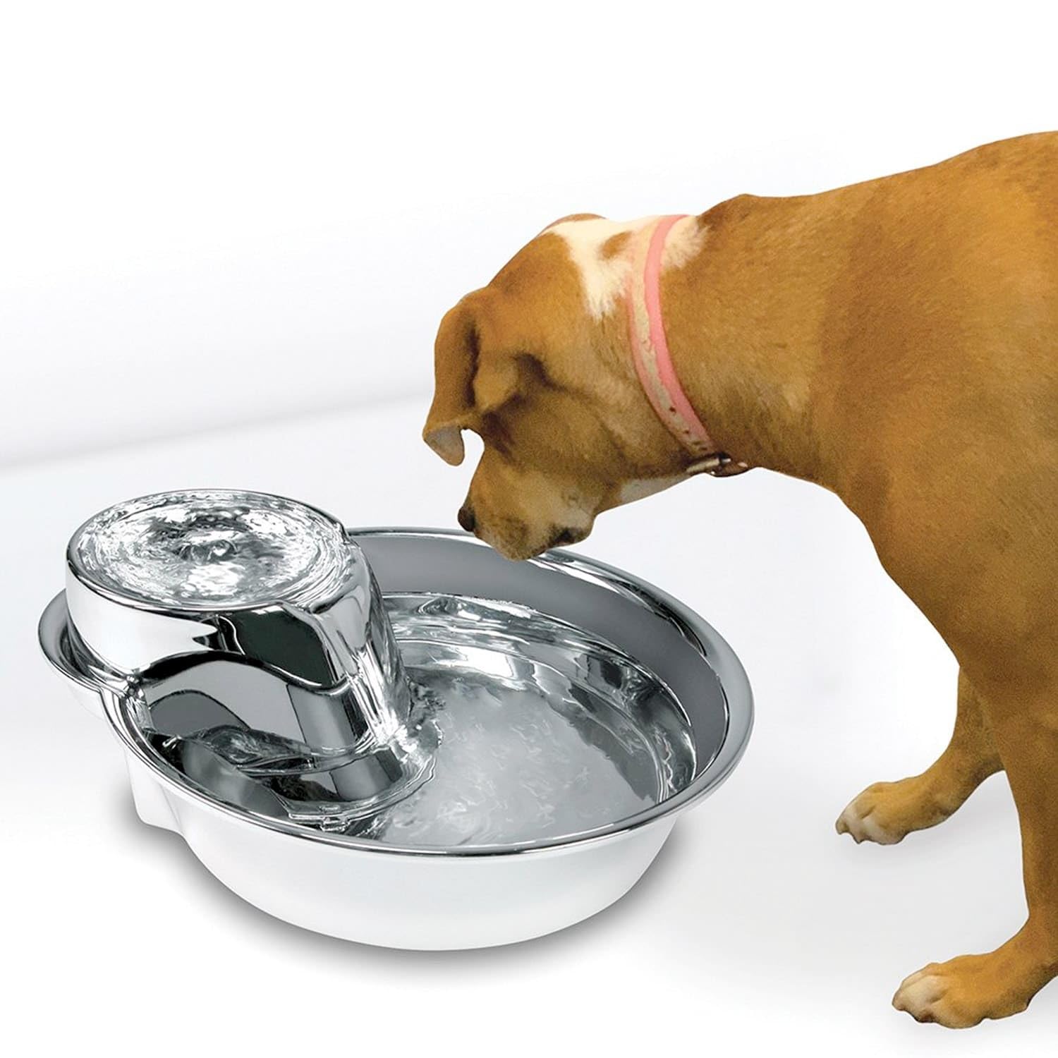 Fontion Pioneer Pet inox avec filtre charbon remplaçable pour eau propre.