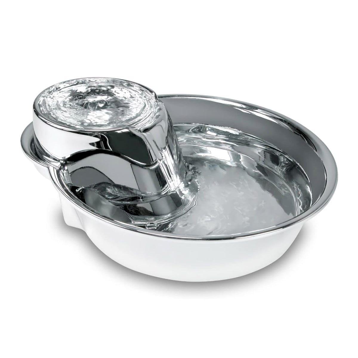 Fontaine Pioneer Pet en inox avec gouttes-pluie 60oz pour hydrater facilement.