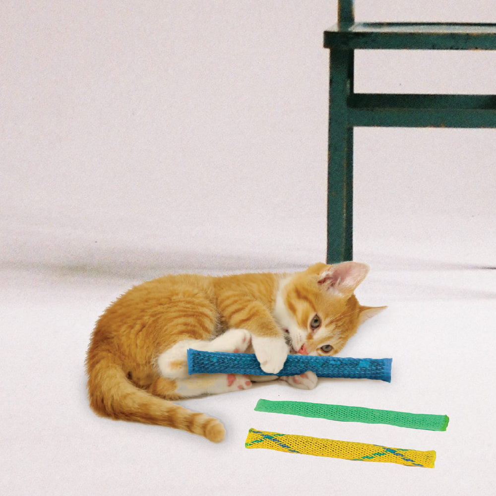 Pioneer Pet Nip Nibblers plaisir sensoriel et mordillage sûr pour chats.